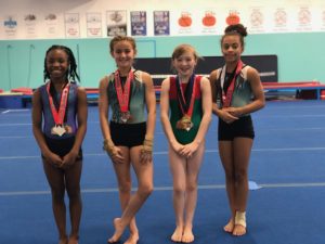Summerville Family YMCA Gymnastics Team Places at Crown of the Carolinas